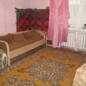 квартира посуточно