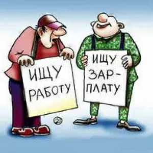ищу работу