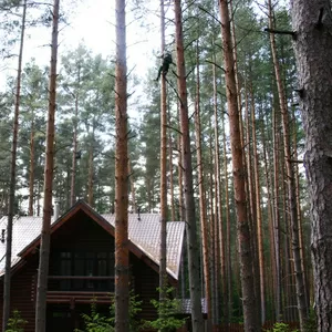 Комплексный уход за садом и лесом