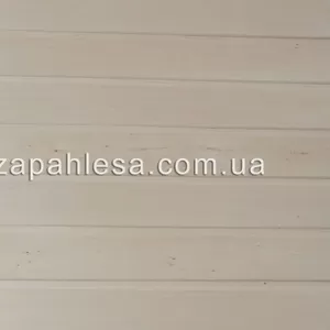Вагонка липа медоносна