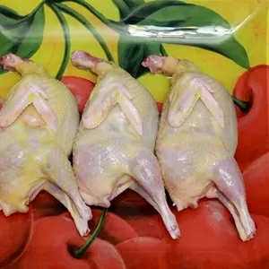 Мясо перепела (тушки)