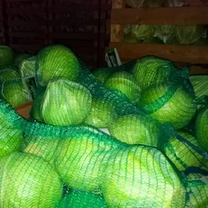 Купим овощи,  предложить все.