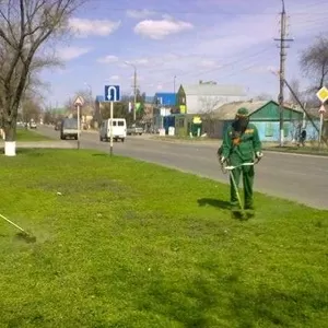 скосить покосить траву амброзию