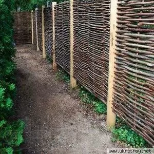 Декоративные заборы из лещины