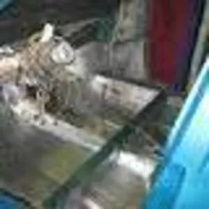 Шумоизоляция-Виброизоляция авто Полтава