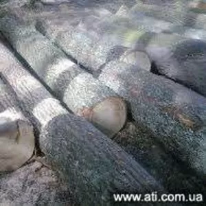 Купим кругляк ясеня от 26 .I-II сорт.Оплата любая.Регион любой.