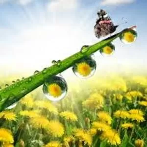 Сделайте карьеру в рекламе! Официальное трудоустройство.
