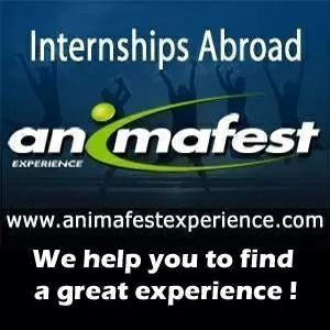 Animafest Experience. Стажировки за границей