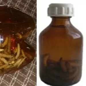 Настойка личинок восковой моли