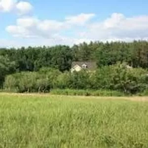 Потрібні працівники для побілки із зовні  половини хати в селі