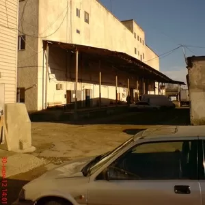 хранение фруктов и овощей в холодильных складах
