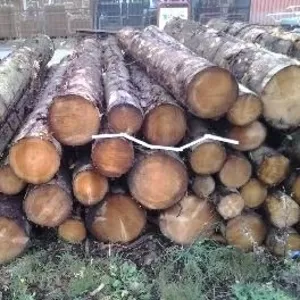 Продажа пиломатериала 
