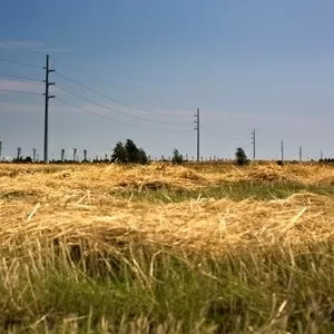 Опоры освещения металлические оцинкованные