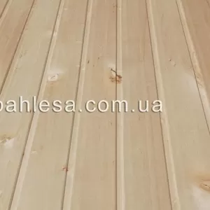 Вагонка липа золотиста
