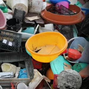 Куплю дорого паллеты полиэтиленовые и полипропиленовые