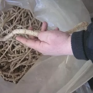 Экструдер зерновой,  кормовой 