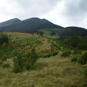 Земельна ділянка в Карпатах. Дземброня 2 га