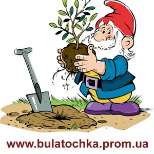 Мотоблок БУЛАТ ВТ900 (бензин 7, 0 л.с.),  мотоблоки WEIMA (Вейма) 