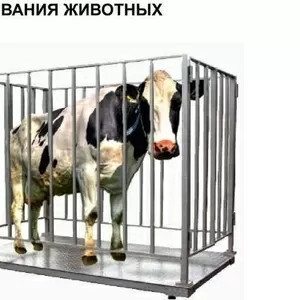 Весы для взвешивания животных