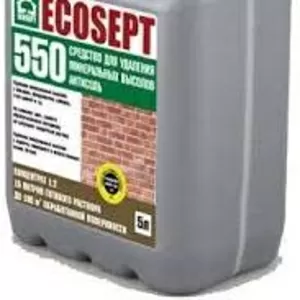 Средство для удаления минеральных высолов ECOSEPT – 550