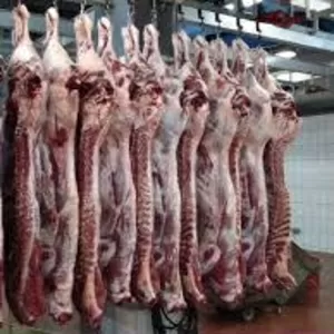 Продам говядину полутушами
