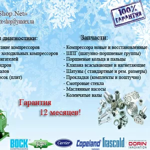 Запчастини до промислових холодильних компресорів