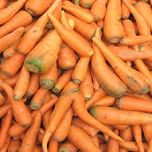 Продам моркву