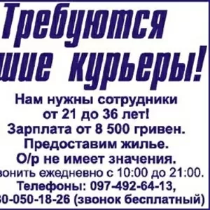 Требуются пешие курьеры!