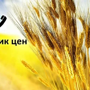 649 - автоответчик наивысших цен на с/х культуры в Украине