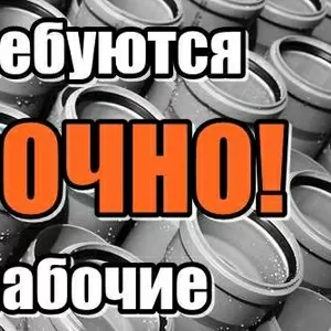Срочно! Требуются рабочие на производство. Зп от 4500 грн./мес. 