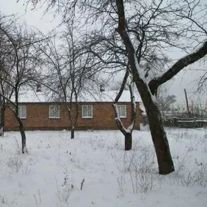 Продам дом - Черниговская область,  Черниговский р-н,  с. Колычевка