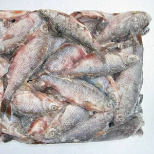 Рыбная компания реализует оптом свежию и свежемороженную речную рыбу