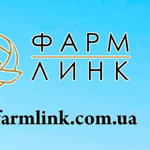 GMP/GDP Сертификация,  Валидация фармацевтического производства