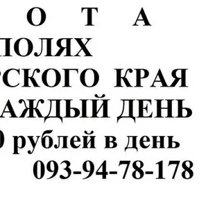 требуются рабочие на поля