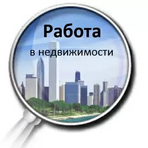 Открыта вакансия.  Агент по продажи жилой и коммерческой недвижимости.