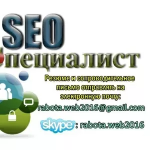 Требуется SEO-специалист