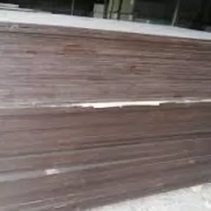 Фанера ламінована 21мм  тополя виробництва Китай