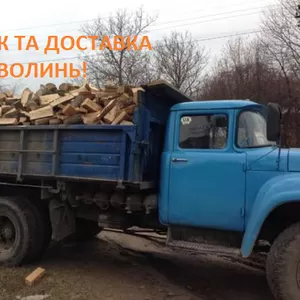 Луцк дрова оптом и под заказ твердых пород + Доставка