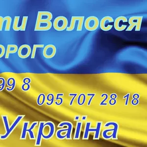Продати Куплю Волосся Дорого Рівне