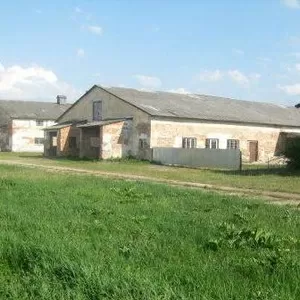 Продам приміщення колишніх корівників