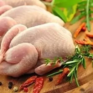 Halal Chiken (Халяль куры)