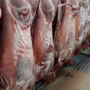 Продам свежайшее мясо халяль баранину тушками