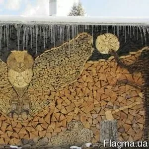 Продаю дрова различных сортов дерева