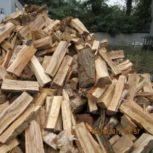Продам дрова дубові колоті.