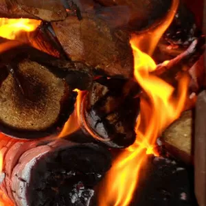 Дрова купить оптом. Запорожье.
