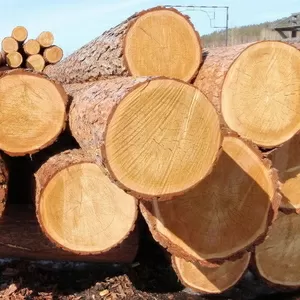 Продам пиловочник сосны