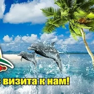 Поездка в аквапарк DREAM ISLAND, Киев.