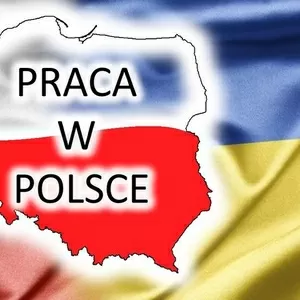 Легальная работа в Польше. Виза. Страховка. Вакансии