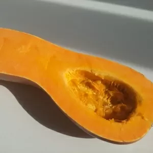 Тыква мускатная
