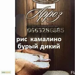 Продам Рис камалино,  круглый,  бурый,  дикий и другие сорта